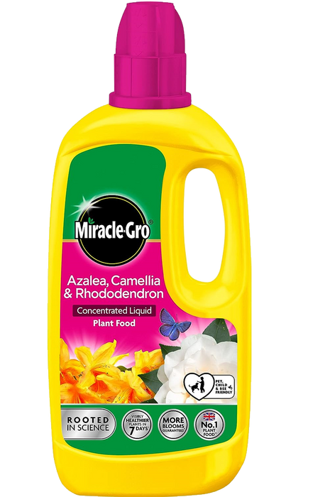 Miracle Gro Azalea Camellia & Rhododendron Concentrated Liquid Plant Food 1Ltr
