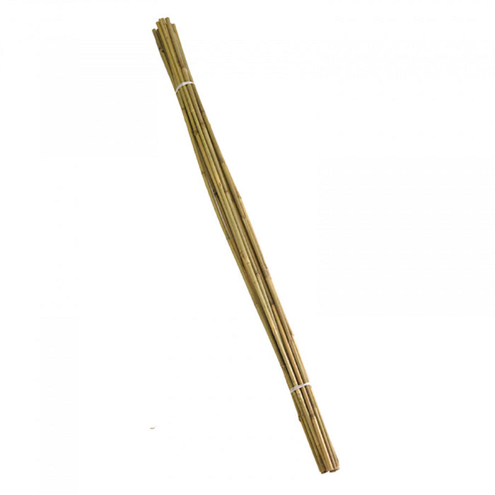 SmartGarden Bamboo Canes - Extra Thick 210 cm bundle of 10 ***