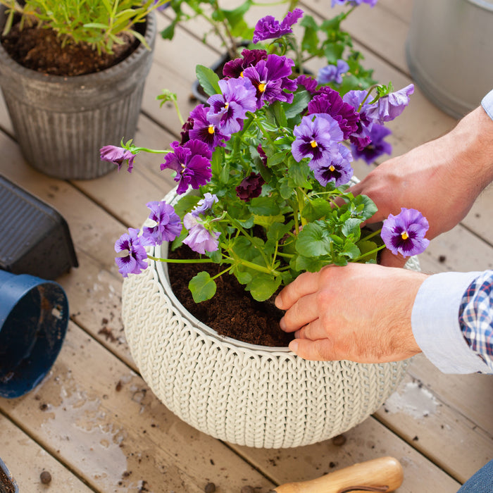 Autumn Containers: Colourful Pots for Cooler Days