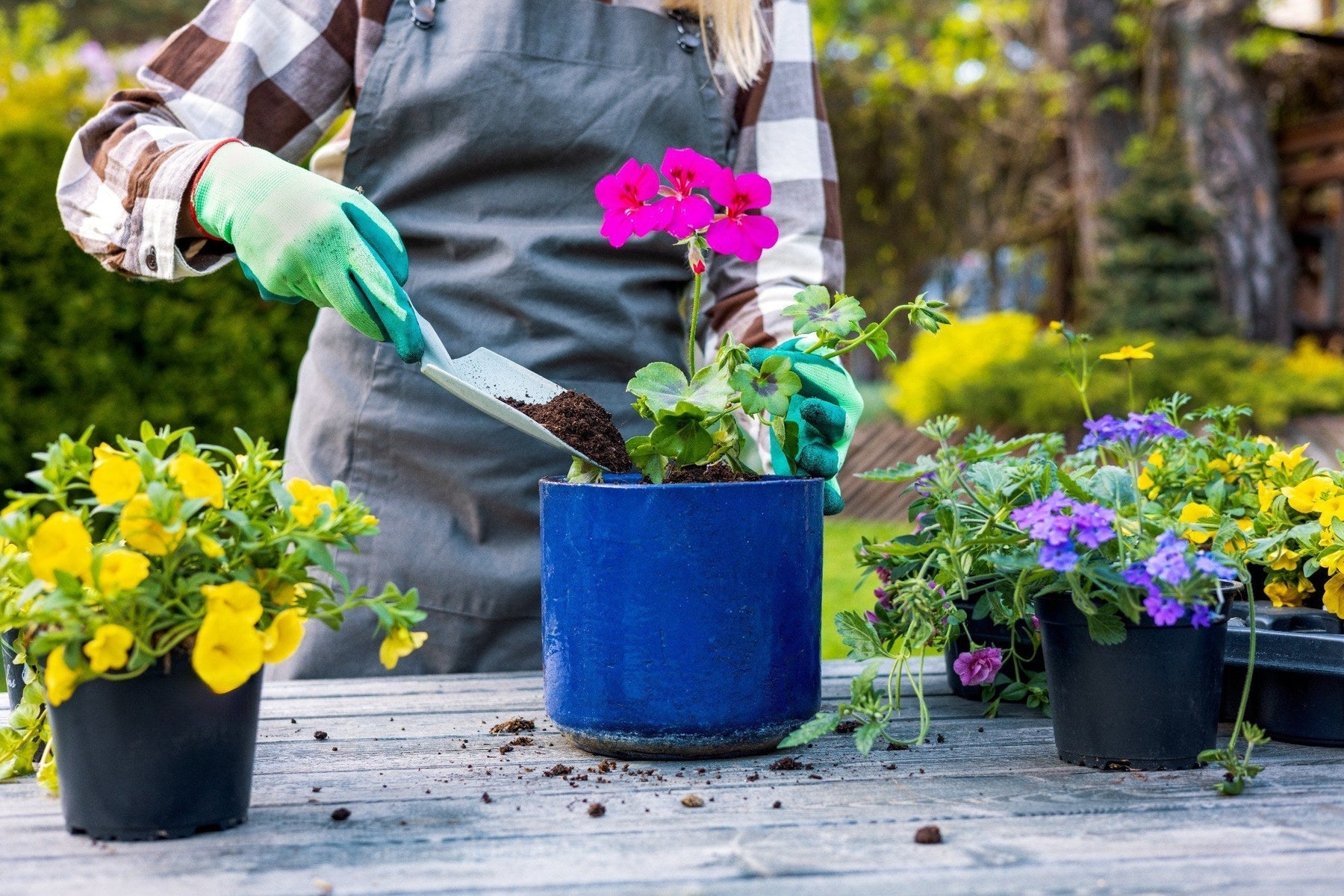 Sun’s Out, Spades Out: What to Plant This Summer