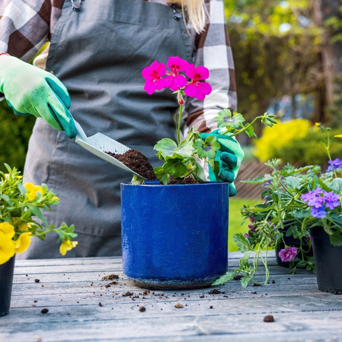 Sun’s Out, Spades Out: What to Plant This Summer