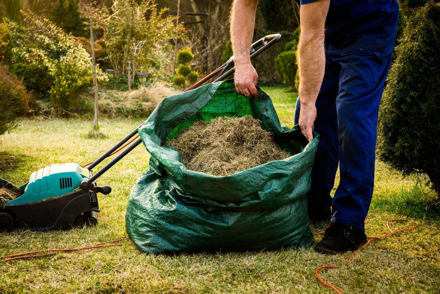 Autumn Lawn Care: Help Your Grass Recover After Summer