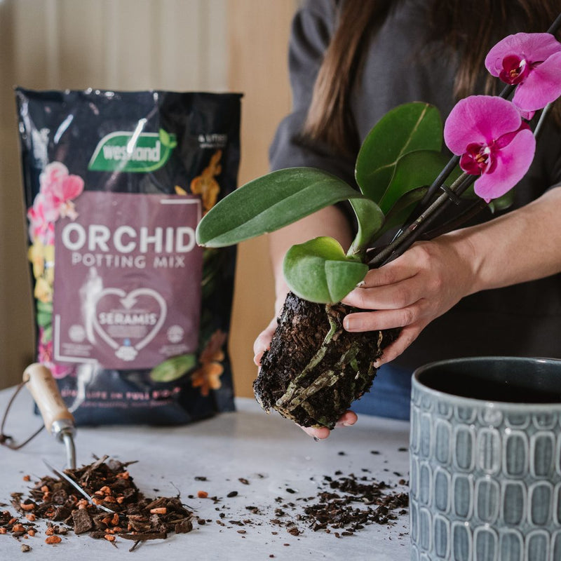 Westlad Orchid Potting Mix 4Ltr