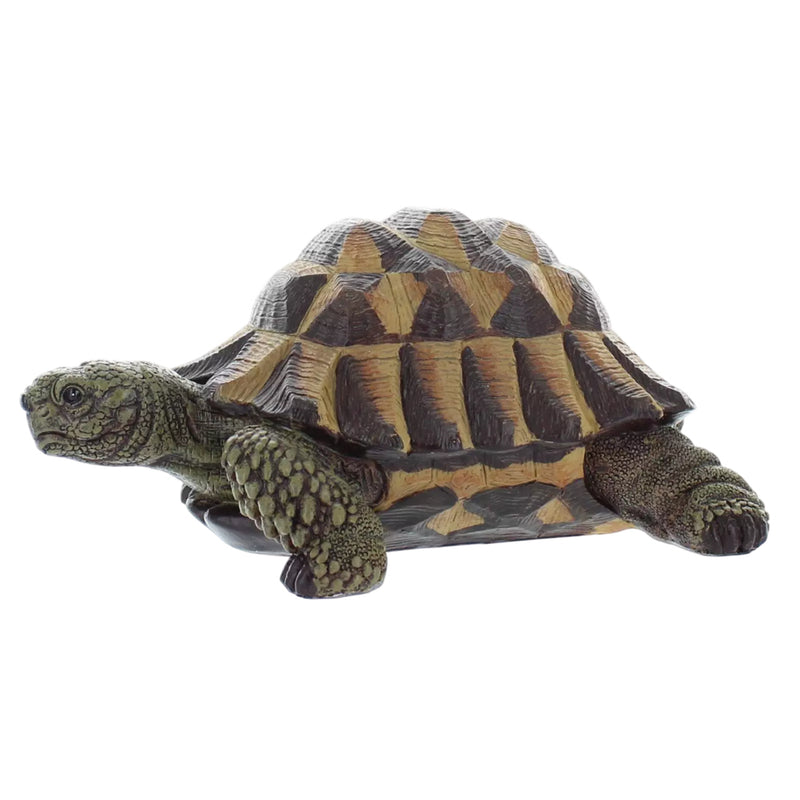 Vivid Arts N Friends Tortoise
