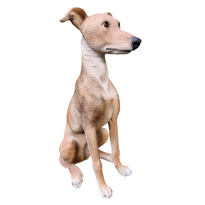 Vivid Arts Real Life Whippet D
