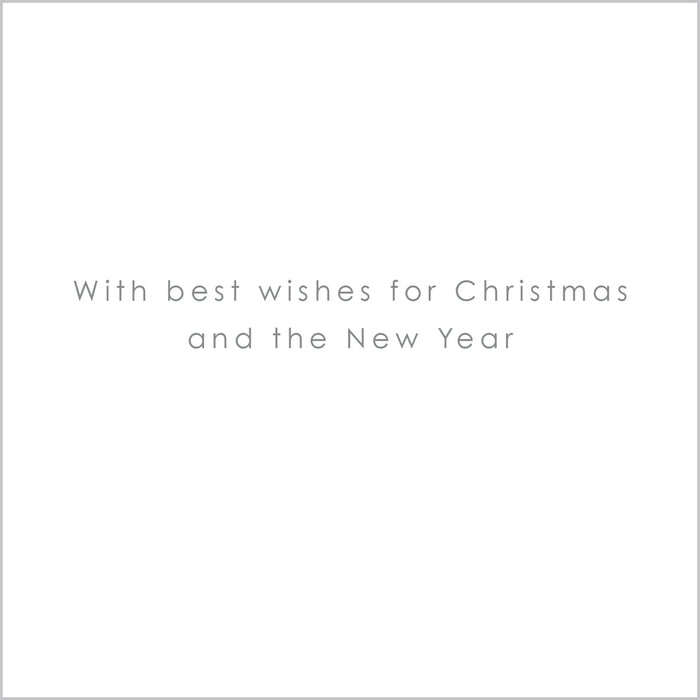 Abacus Xmas 2024 Packs - Festive Pheasant