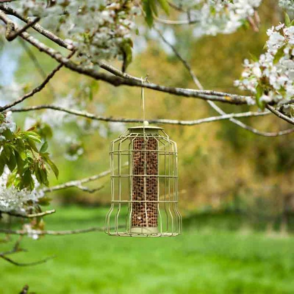 Chapelwood Squirrel Proof Peanut Feeder
