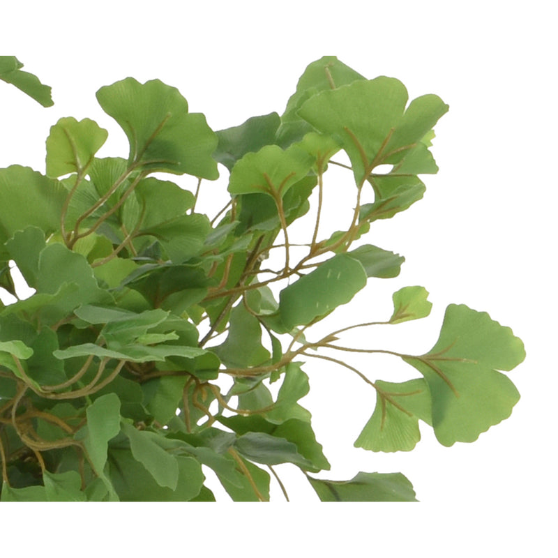 Kaemingk Gingko In Pot PE