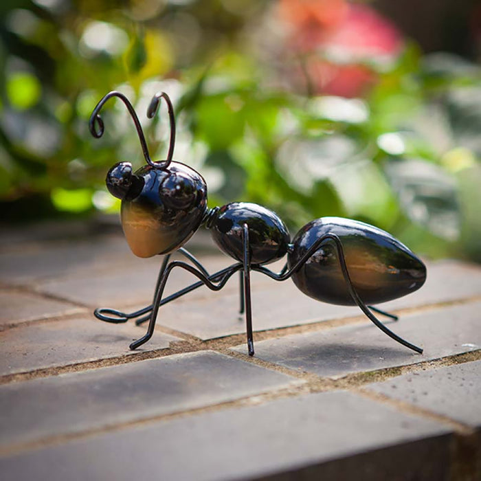 Smart Garden Ant - Large