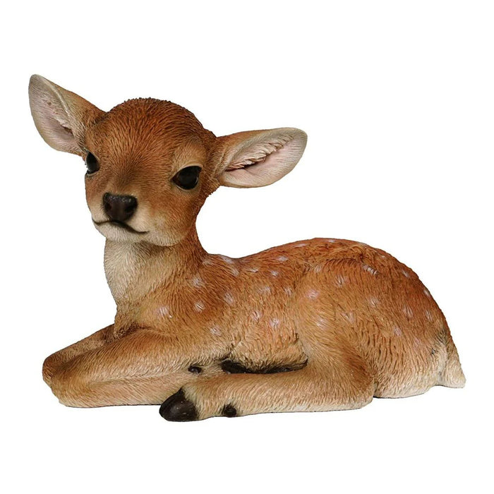 Vivid Arts Real Life Fallow Deer F