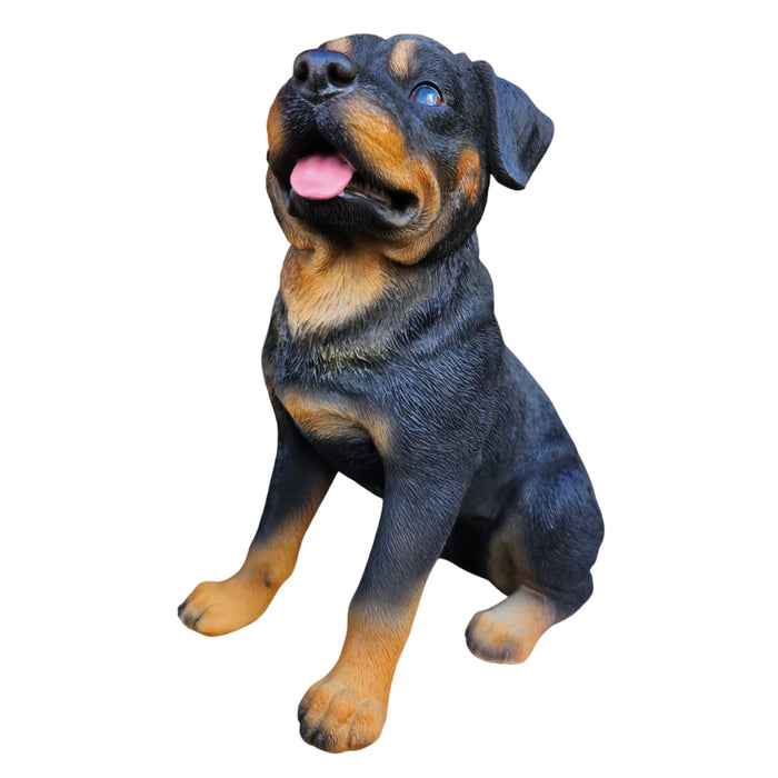 Vivid Arts Real Life Rottweiler D