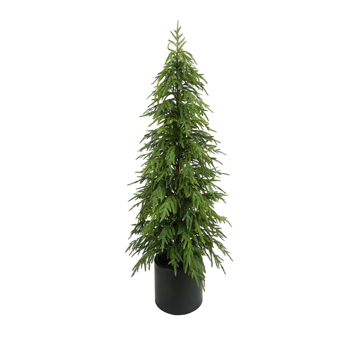 Sage Décor  Balsam Fir Tree In Planter 150Cm