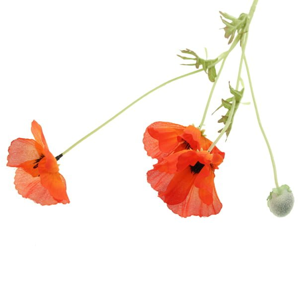 Sage Décor  Poppy Spray 60Cm