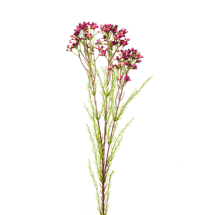 Emerald Wax Flower Spray X3 Purple 75cm