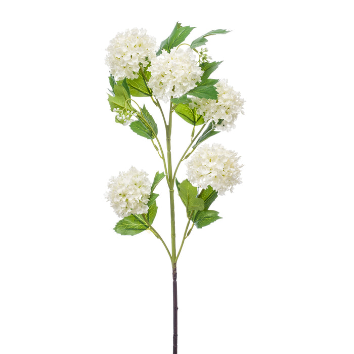 Emerald Viburnum Spray x 5 75cm Cream