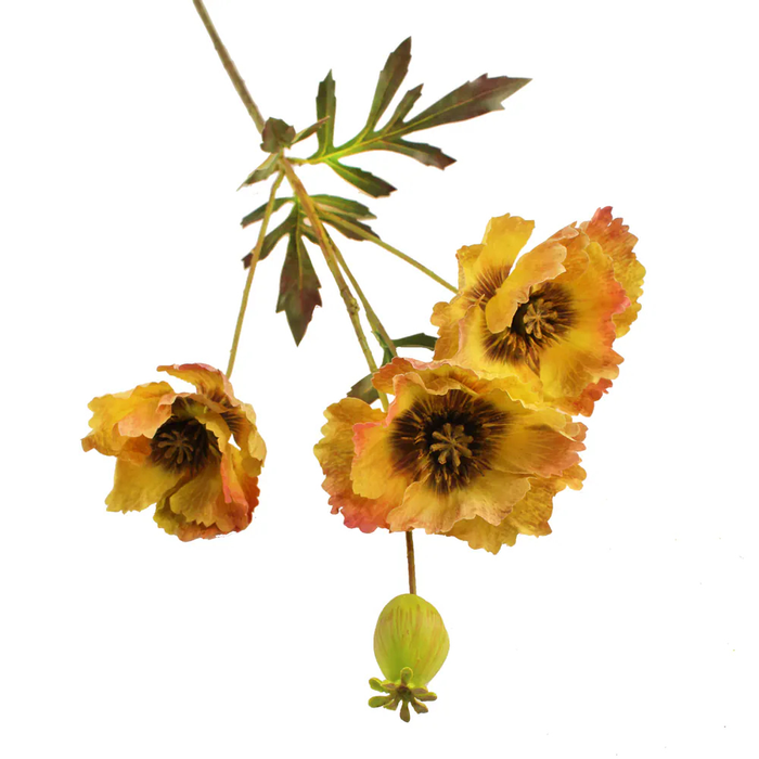 Sage Décor  Shirley Poppy 70Cm