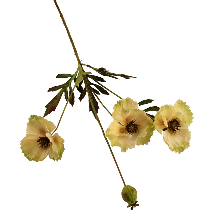 Sage Décor  Shirley Poppy 70Cm