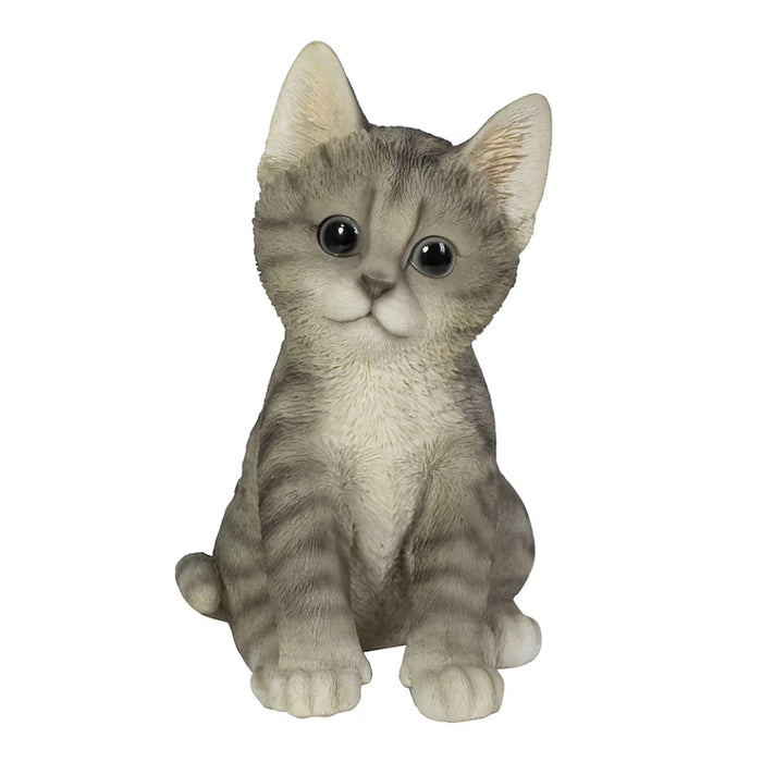 Vivid Arts PP Kitten Tabby F