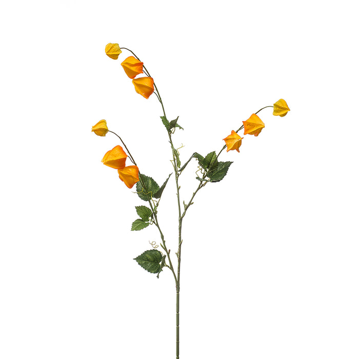 Emerald Physalis Spray X3 Dk Yellow 95cm