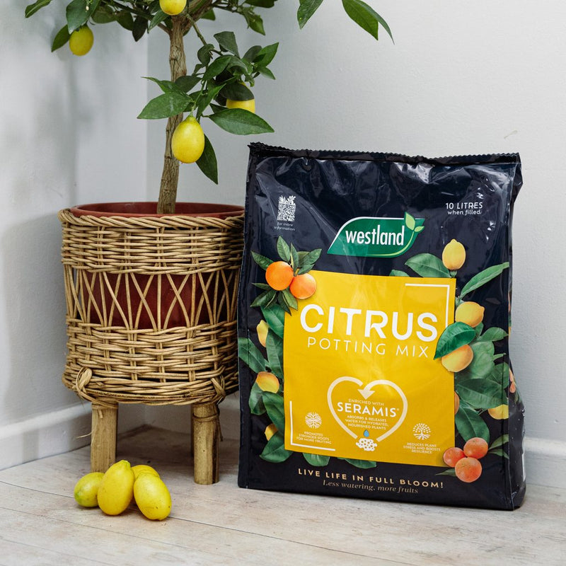 Westland Citrus Potting Mix 10Ltr