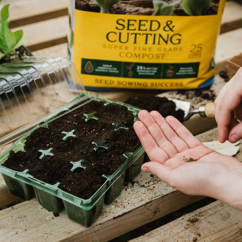 Westland Seed & Cutting Compost 25ltr
