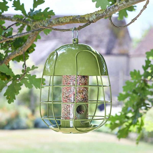 Chapelwood Acorn Squirrel Proof Seed Feeder