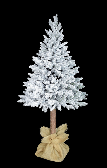 NL Norway Snow Spruce on Trunk 180cm