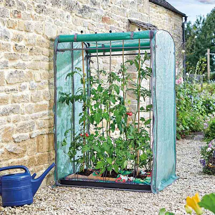 SmartGarden Tomato GroZone Max - Double Sided