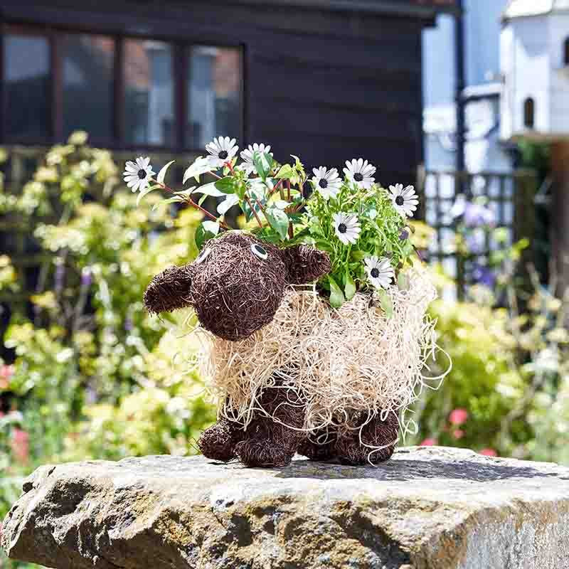 Flamboya Shelly Sheep Planter