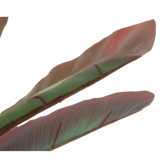 Kaemingk Banana Plant In Pot PE