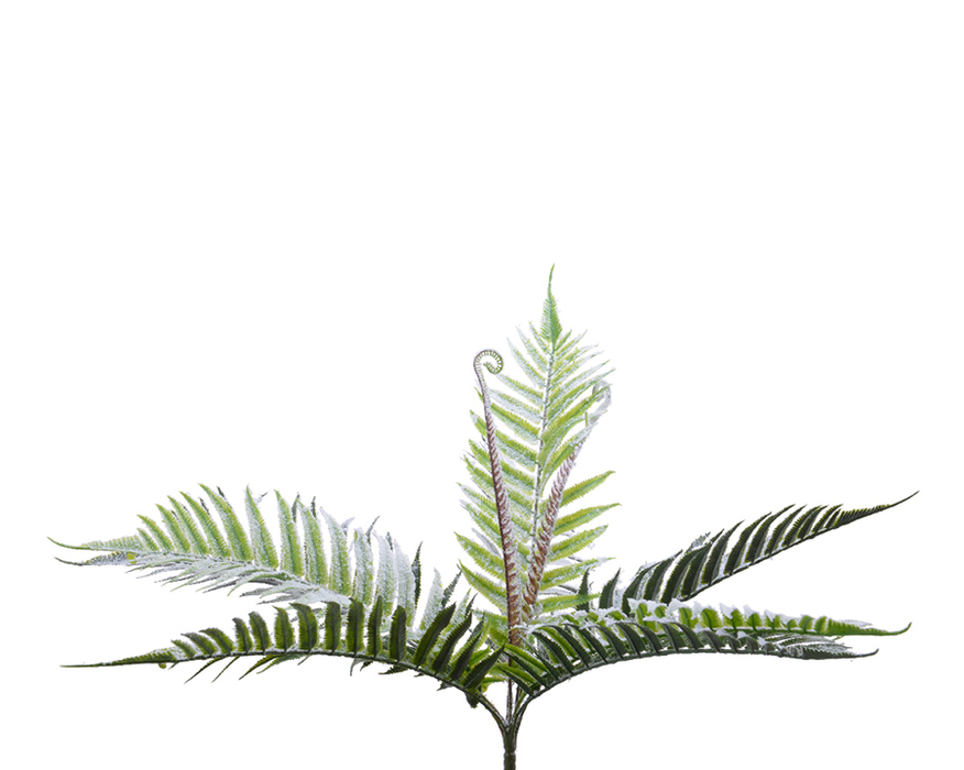 KMG Plc Fern On Stem W Snow Finish