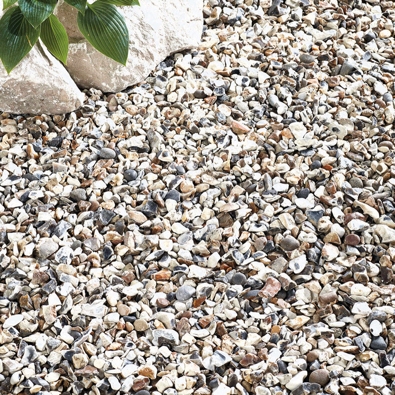 Kelkay Moonstone Chippings