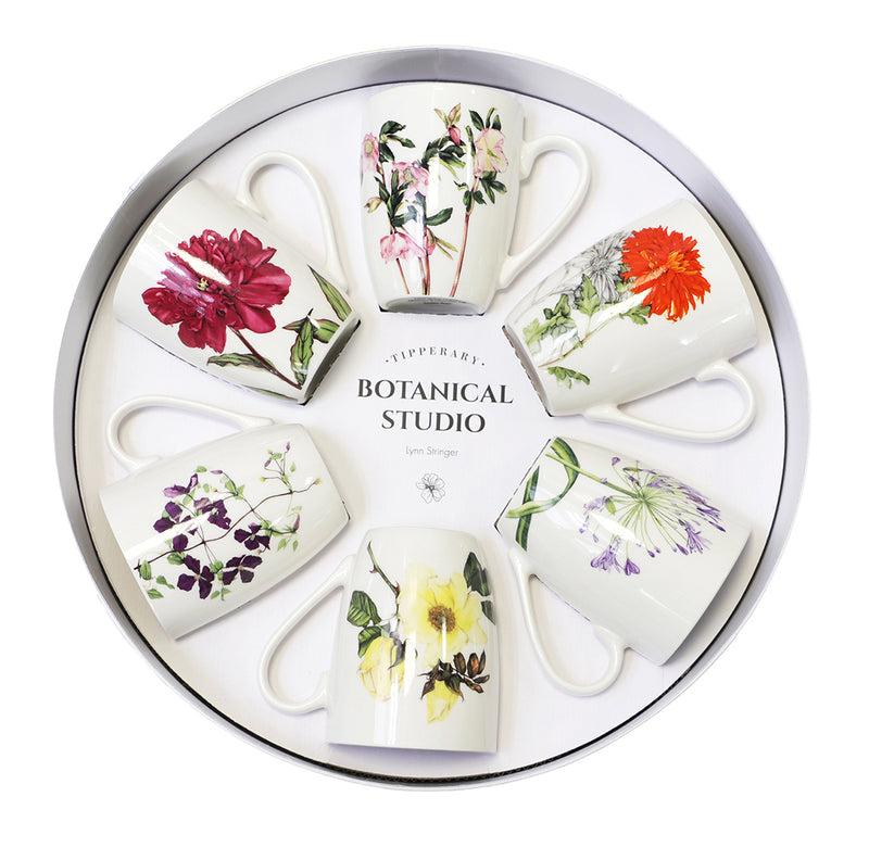 Allied Imports Botanic Studio Mugs – Set of 6