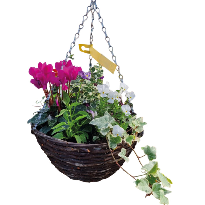 Hanging Small Round Basket O (1 x Arrangement)