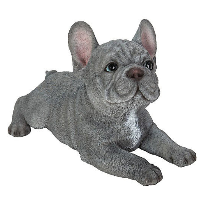 Vivid Arts Pp Laying Blue French Bulldog Puppy