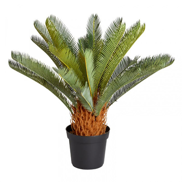 Smart Garden Sago Palm 68 cm