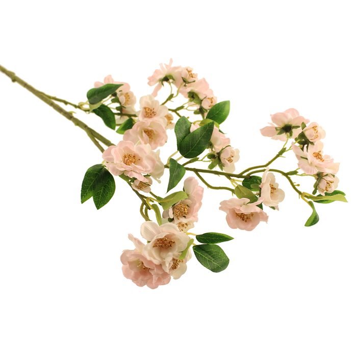 Sage Décor  Almond Blossom Spray 76Cm