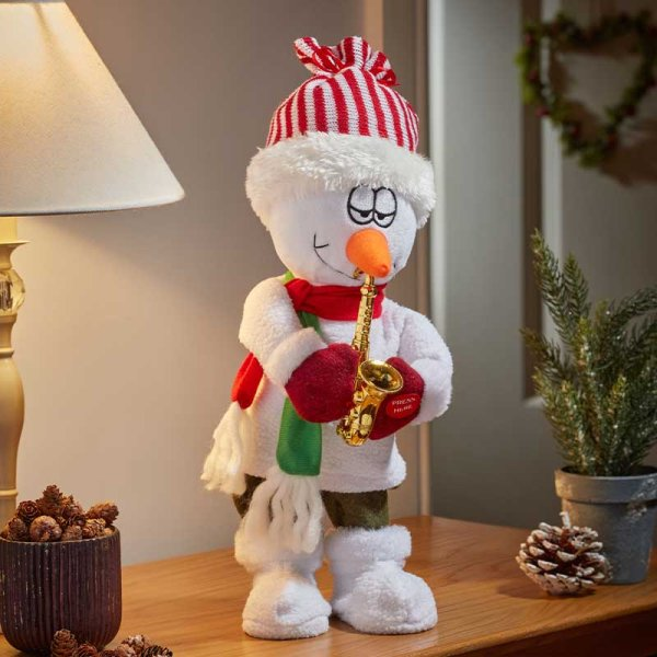 Smart Garden Saxsnowman!