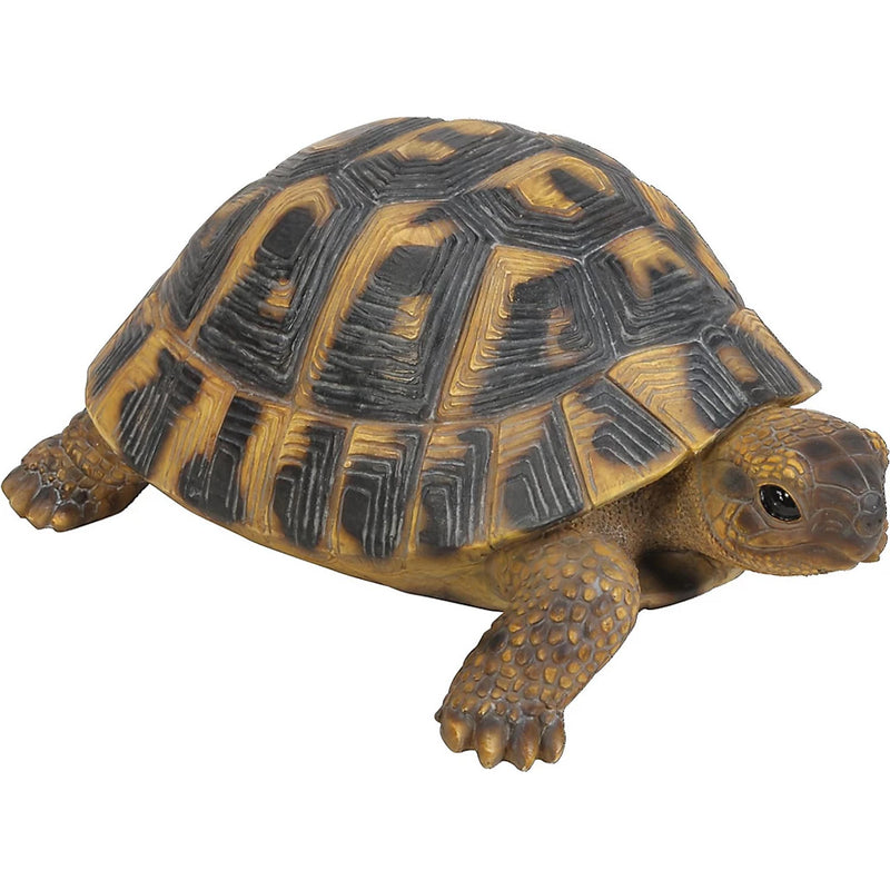Vivid Arts RL Hermann Tortoise
