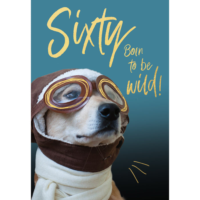 ABA 60th Birthday Male - Sixty Born To Be Wild