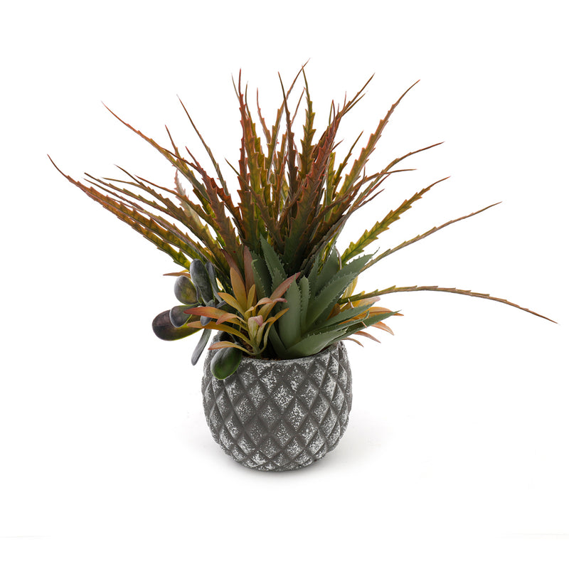 Sifcon 30Cm Succulents In Grey Pot