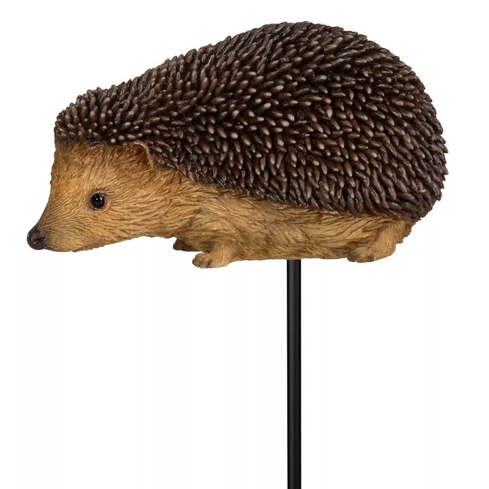 Vivid Arts Hedgehog Plant Pal Box/6