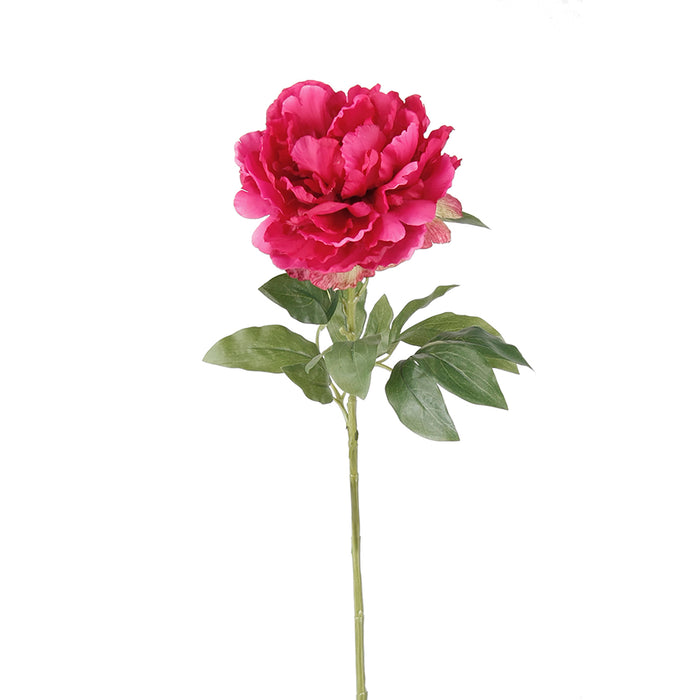 Emerald Peony Spray 65cm Beauty