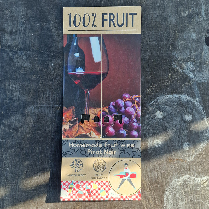 VITIS Pinot Noir 15cm