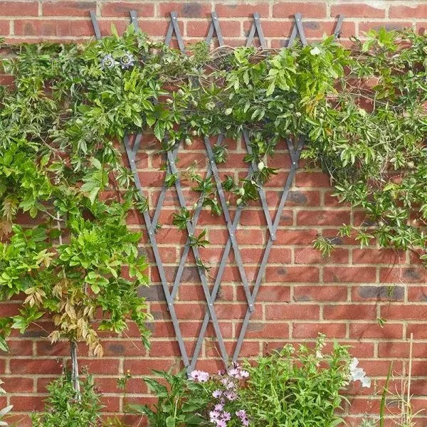 Smart Garden Heavy Duty Expanding Fan Trellis Slate 1.75 x 0.9m Slate