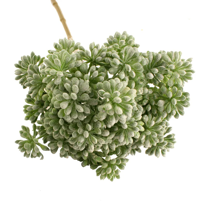 Sage Décor  Sedum Stem 40Cm