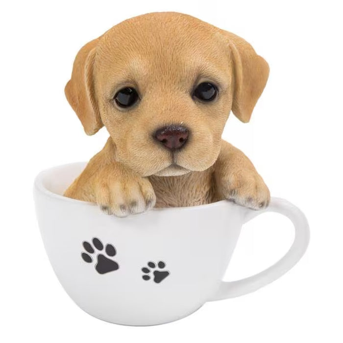 VIVID  Teacup Golden Labrador