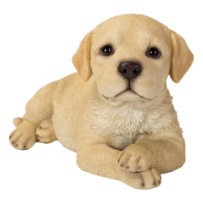 Vivid Arts Pp Laying Golden Labrador Puppy