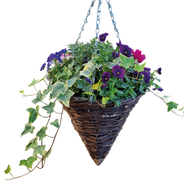 Hanging Cone Basket N (1 x Arrangement)