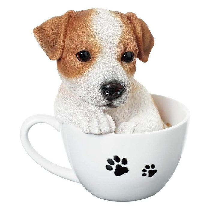 VIVID  Teacup Jack Russell
